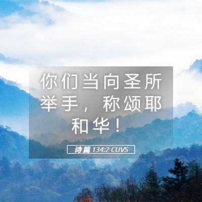 Picture 05 - 诗 篇 134:2 CUVS - 你 们 当 向 圣 所 举 手 ， 称 颂 耶 - Bible Verse Picture