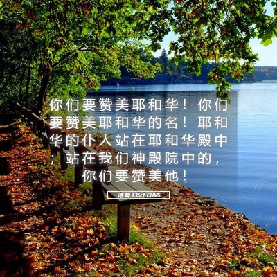 Picture 05 - 诗 篇 135:1 CUVS - 你 们 要 赞 美 耶 和 华 ！ 你 们 要 - Bible Verse Picture
