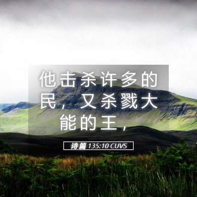 Picture 05 - 诗 篇 135:10 CUVS - 他 击 杀 许 多 的 民 ， 又 杀 戮 大 - Bible Verse Picture