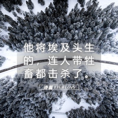 Picture 05 - 诗 篇 135:8 CUVS - 他 将 埃 及 头 生 的 ， 连 人 带 牲 - Bible Verse Picture