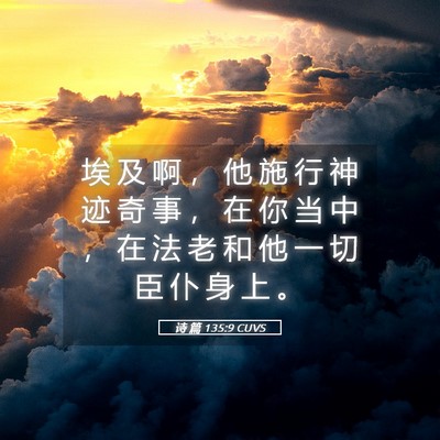Picture 05 - 诗 篇 135:9 CUVS - 埃 及 啊 ， 他 施 行 神 迹 奇 事 ， - Bible Verse Picture