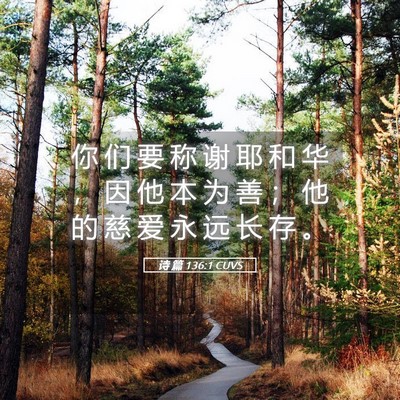 Picture 05 - 诗 篇 136:1 CUVS - 你 们 要 称 谢 耶 和 华 ， 因 他 本 - Bible Verse Picture