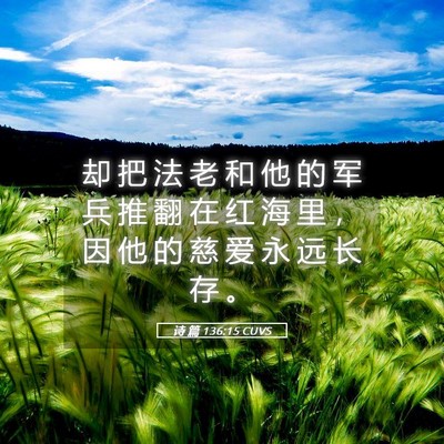 Picture 05 - 诗 篇 136:15 CUVS - 却 把 法 老 和 他 的 军 兵 推 翻 在 - Bible Verse Picture