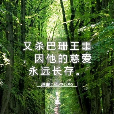 Picture 05 - 诗 篇 136:20 CUVS - 又 杀 巴 珊 王 噩 ， 因 他 的 慈 爱 - Bible Verse Picture