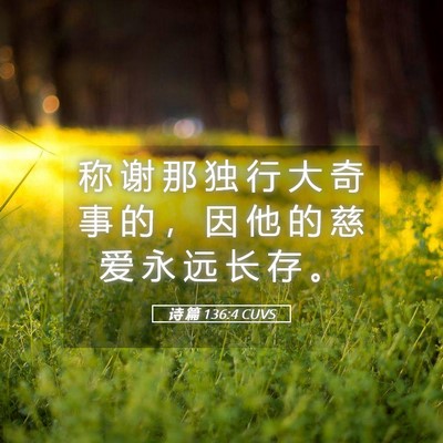 Picture 05 - 诗 篇 136:4 CUVS - 称 谢 那 独 行 大 奇 事 的 ， 因 他 - Bible Verse Picture
