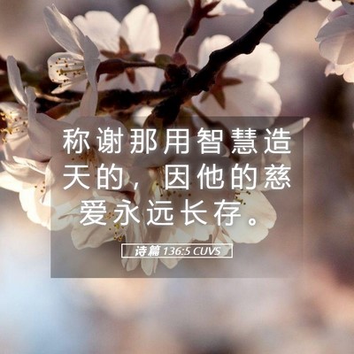Picture 05 - 诗 篇 136:5 CUVS - 称 谢 那 用 智 慧 造 天 的 ， 因 他 - Bible Verse Picture