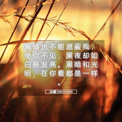 Picture 05 - 诗 篇 139:12 CUVS - 黑 暗 也 不 能 遮 蔽 我 ， 使 你 不 - Bible Verse Picture