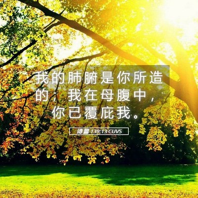 Picture 05 - 诗 篇 139:13 CUVS - 我 的 肺 腑 是 你 所 造 的 ； 我 在 - Bible Verse Picture