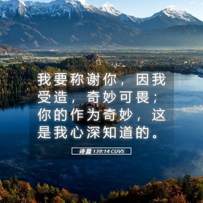 Picture 05 - 诗 篇 139:14 CUVS - 我 要 称 谢 你 ， 因 我 受 造 ， 奇 - Bible Verse Picture