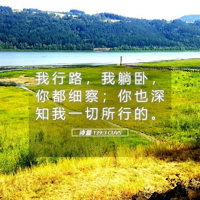 Picture 05 - 诗 篇 139:3 CUVS - 我 行 路 ， 我 躺 卧 ， 你 都 细 察 - Bible Verse Picture