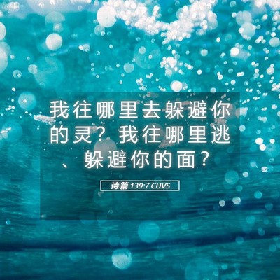 Picture 05 - 诗 篇 139:7 CUVS - 我 往 哪 里 去 躲 避 你 的 灵 ？ 我 - Bible Verse Picture