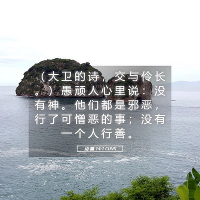 Picture 05 - 诗 篇 14:1 CUVS - （ 大 卫 的 诗 ， 交 与 伶 长 。 ） - Bible Verse Picture