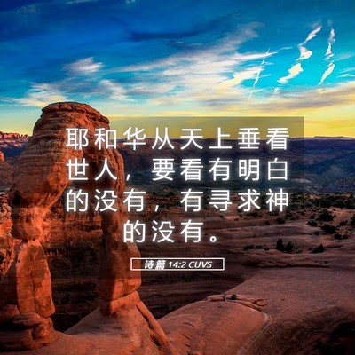 Picture 05 - 诗 篇 14:2 CUVS - 耶 和 华 从 天 上 垂 看 世 人 ， 要 - Bible Verse Picture