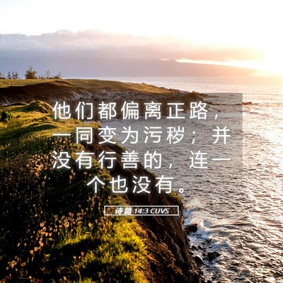 Picture 05 - 诗 篇 14:3 CUVS - 他 们 都 偏 离 正 路 ， 一 同 变 为 - Bible Verse Picture