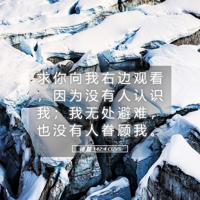 Picture 05 - 诗 篇 142:4 CUVS - 求 你 向 我 右 边 观 看 ， 因 为 没 - Bible Verse Picture
