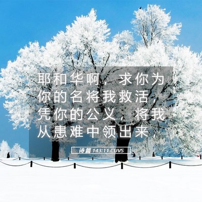Picture 05 - 诗 篇 143:11 CUVS - 耶 和 华 啊 ， 求 你 为 你 的 名 将 - Bible Verse Picture