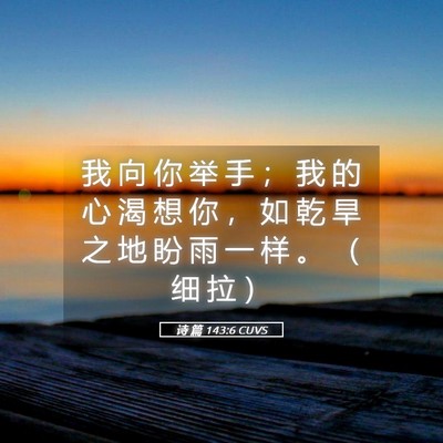 Picture 05 - 诗 篇 143:6 CUVS - 我 向 你 举 手 ； 我 的 心 渴 想 你 - Bible Verse Picture