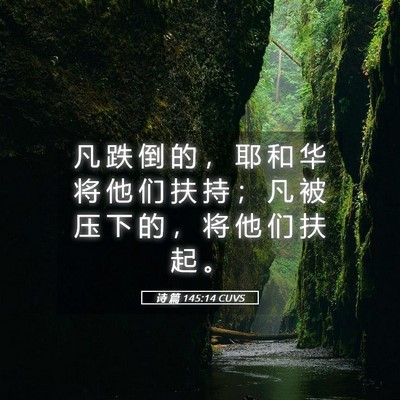 Picture 05 - 诗 篇 145:14 CUVS - 凡 跌 倒 的 ， 耶 和 华 将 他 们 扶 - Bible Verse Picture