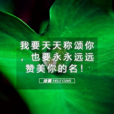 Picture 05 - 诗 篇 145:2 CUVS - 我 要 天 天 称 颂 你 ， 也 要 永 永 - Bible Verse Picture