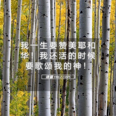 Picture 05 - 诗 篇 146:2 CUVS - 我 一 生 要 赞 美 耶 和 华 ！ 我 还 - Bible Verse Picture