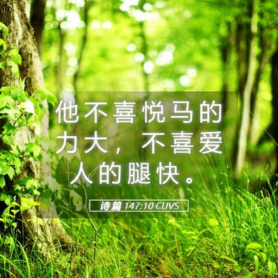 Picture 05 - 诗 篇 147:10 CUVS - 他 不 喜 悦 马 的 力 大 ， 不 喜 爱 - Bible Verse Picture
