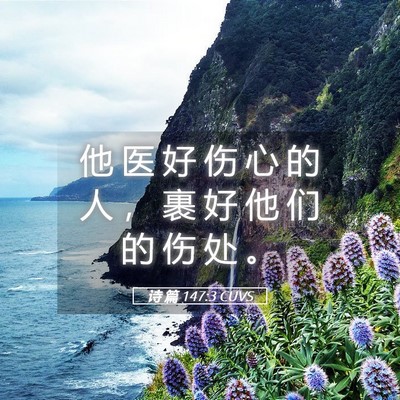 Picture 05 - 诗 篇 147:3 CUVS - 他 医 好 伤 心 的 人 ， 裹 好 他 们 - Bible Verse Picture