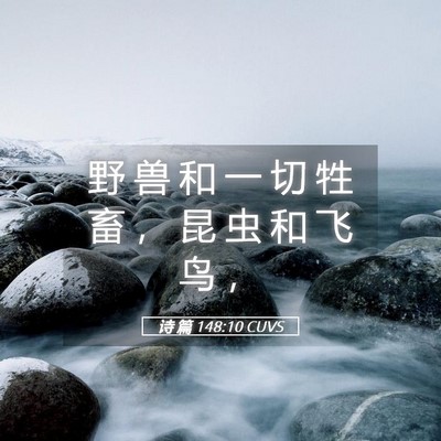 Picture 05 - 诗 篇 148:10 CUVS - 野 兽 和 一 切 牲 畜 ， 昆 虫 和 飞 - Bible Verse Picture