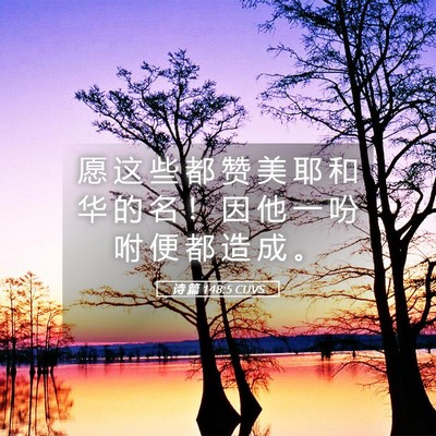 Picture 05 - 诗 篇 148:5 CUVS - 愿 这 些 都 赞 美 耶 和 华 的 名 ！ - Bible Verse Picture