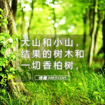 Picture 05 - 诗 篇 148:9 CUVS - 大 山 和 小 山 ， 结 果 的 树 木 和 - Bible Verse Picture