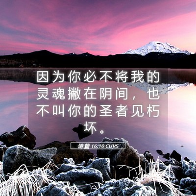 Picture 05 - 诗 篇 16:10 CUVS - 因 为 你 必 不 将 我 的 灵 魂 撇 在 - Bible Verse Picture