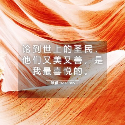 Picture 05 - 诗 篇 16:3 CUVS - 论 到 世 上 的 圣 民 ， 他 们 又 美 - Bible Verse Picture