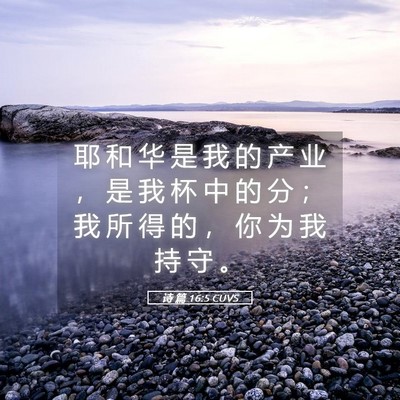 Picture 05 - 诗 篇 16:5 CUVS - 耶 和 华 是 我 的 产 业 ， 是 我 杯 - Bible Verse Picture