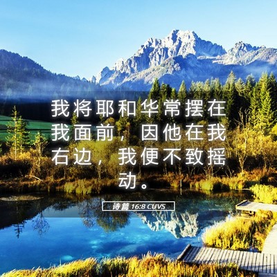 Picture 05 - 诗 篇 16:8 CUVS - 我 将 耶 和 华 常 摆 在 我 面 前 ， - Bible Verse Picture