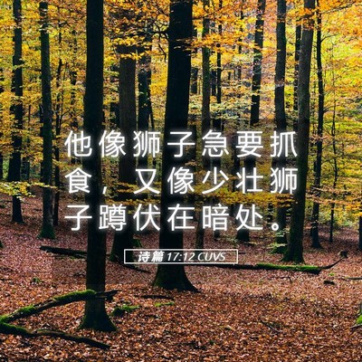 Picture 05 - 诗 篇 17:12 CUVS - 他 像 狮 子 急 要 抓 食 ， 又 像 少 - Bible Verse Picture