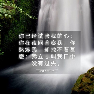 Picture 05 - 诗 篇 17:3 CUVS - 你 已 经 试 验 我 的 心 ； 你 在 夜 - Bible Verse Picture