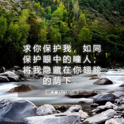 Picture 05 - 诗 篇 17:8 CUVS - 求 你 保 护 我 ， 如 同 保 护 眼 中 - Bible Verse Picture