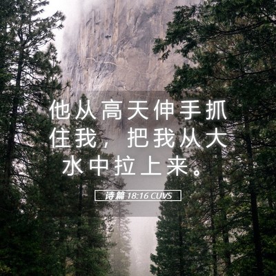 Picture 05 - 诗 篇 18:16 CUVS - 他 从 高 天 伸 手 抓 住 我 ， 把 我 - Bible Verse Picture