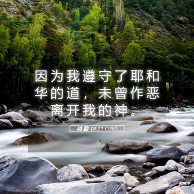 Picture 05 - 诗 篇 18:21 CUVS - 因 为 我 遵 守 了 耶 和 华 的 道 ， - Bible Verse Picture