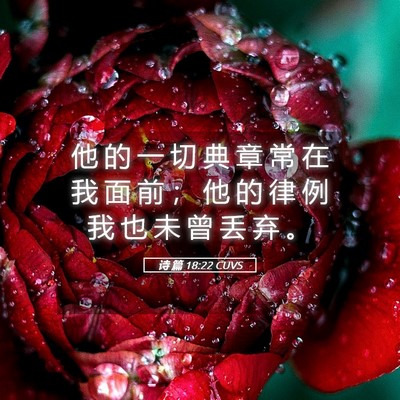 Picture 05 - 诗 篇 18:22 CUVS - 他 的 一 切 典 章 常 在 我 面 前 ； - Bible Verse Picture