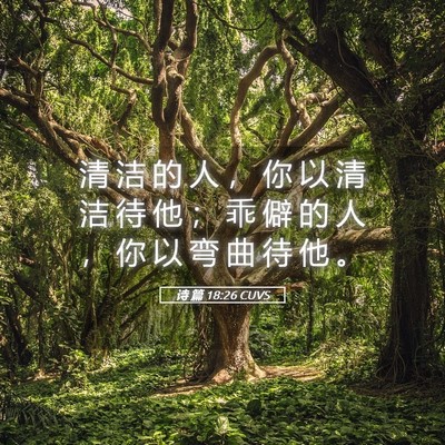 Picture 05 - 诗 篇 18:26 CUVS - 清 洁 的 人 ， 你 以 清 洁 待 他 ； - Bible Verse Picture