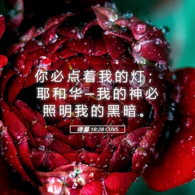 Picture 05 - 诗 篇 18:28 CUVS - 你 必 点 着 我 的 灯 ； 耶 和 华 ─ - Bible Verse Picture