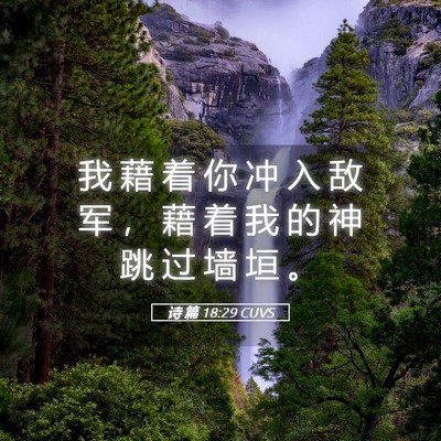 Picture 05 - 诗 篇 18:29 CUVS - 我 藉 着 你 冲 入 敌 军 ， 藉 着 我 - Bible Verse Picture
