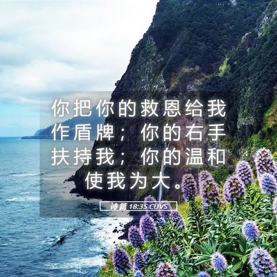 Picture 05 - 诗 篇 18:35 CUVS - 你 把 你 的 救 恩 给 我 作 盾 牌 ； - Bible Verse Picture