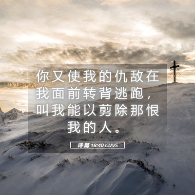 Picture 05 - 诗 篇 18:40 CUVS - 你 又 使 我 的 仇 敌 在 我 面 前 转 - Bible Verse Picture