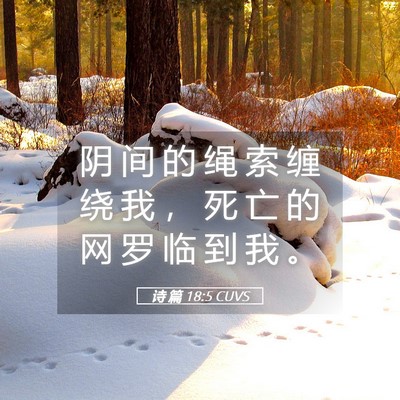 Picture 05 - 诗 篇 18:5 CUVS - 阴 间 的 绳 索 缠 绕 我 ， 死 亡 的 - Bible Verse Picture