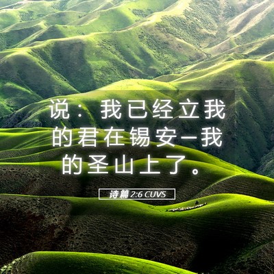 Picture 05 - 诗 篇 2:6 CUVS - 说 ： 我 已 经 立 我 的 君 在 锡 安 - Bible Verse Picture