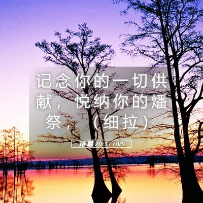 Picture 05 - 诗 篇 20:3 CUVS - 记 念 你 的 一 切 供 献 ， 悦 纳 你 - Bible Verse Picture