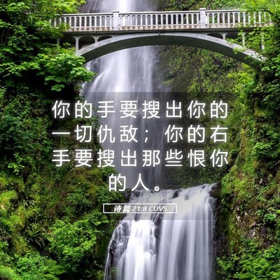 Picture 05 - 诗 篇 21:8 CUVS - 你 的 手 要 搜 出 你 的 一 切 仇 敌 - Bible Verse Picture