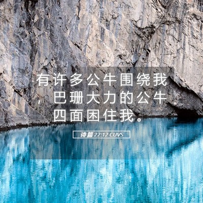 Picture 05 - 诗 篇 22:12 CUVS - 有 许 多 公 牛 围 绕 我 ， 巴 珊 大 - Bible Verse Picture