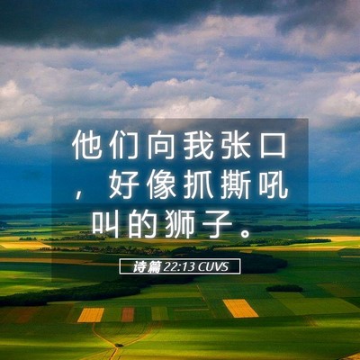 Picture 05 - 诗 篇 22:13 CUVS - 他 们 向 我 张 口 ， 好 像 抓 撕 吼 - Bible Verse Picture